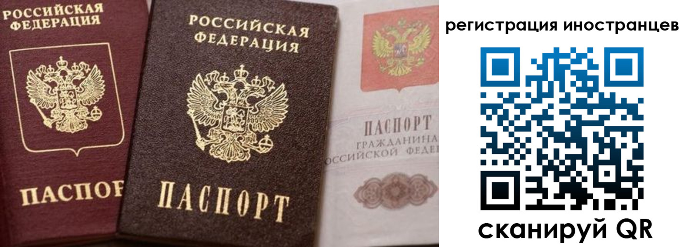 временная регистрация купить в Людиново